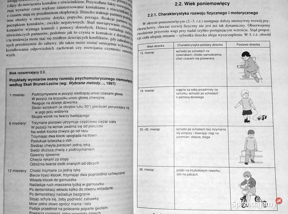 Psychologia rozwoju człowieka Tom 2 B Rok wydania 2000 sprzedam