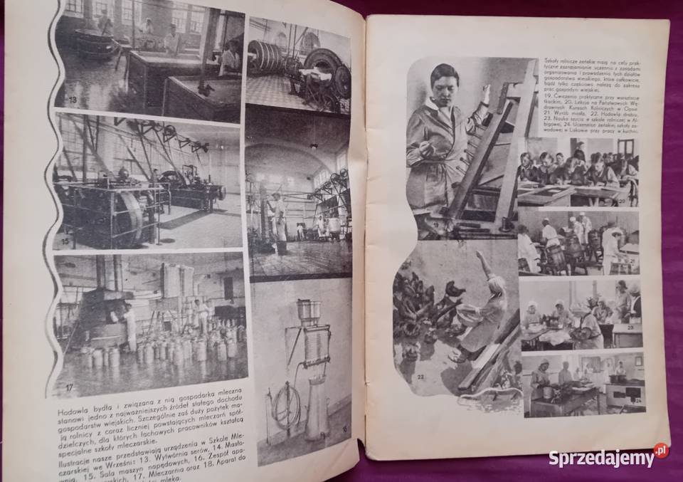 Miesięcznik Plon 12 z 1937 r IV