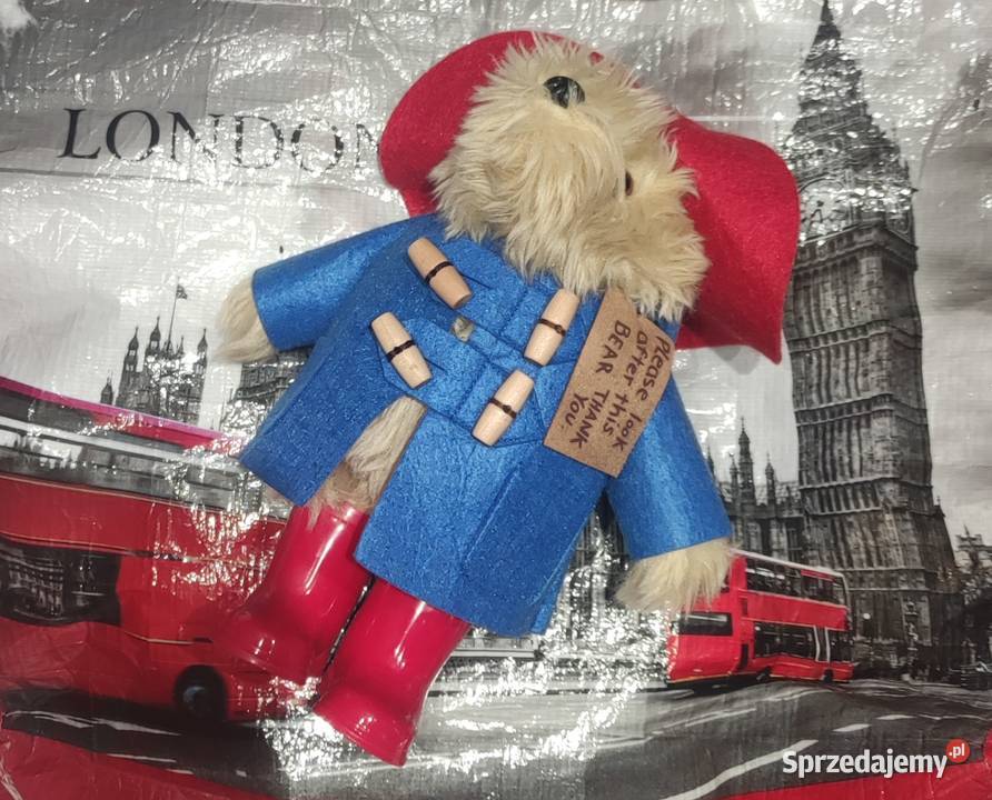 Miś PADDINGTON dolnośląskie