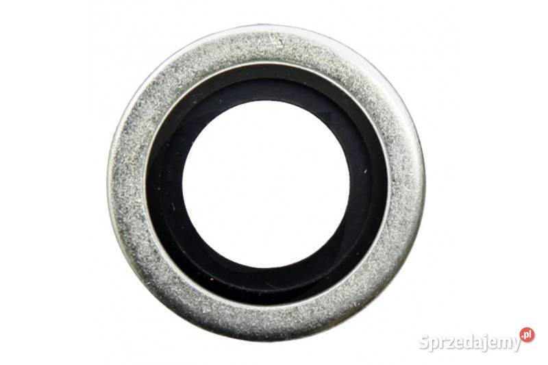 Pierścień uszczelniający 1728 87000505 Kobylnica