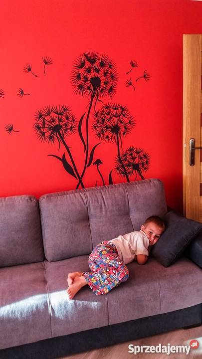 Artystyczne malowanie rysunki na ścianie motywy