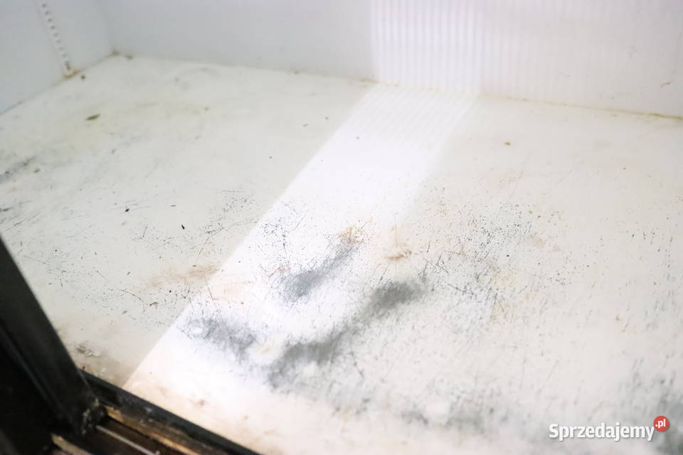 Szafa Witryna chłodnicza NORCOOL Super 122SD 120 Pszczyna