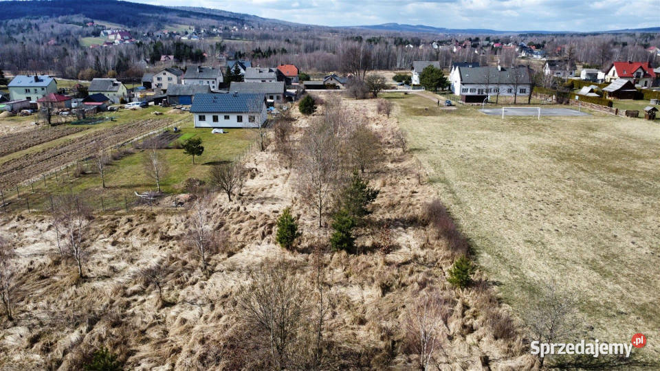 Grunt na sprzedaż Ciekoty 700m2 Sprzedaż sprzedam