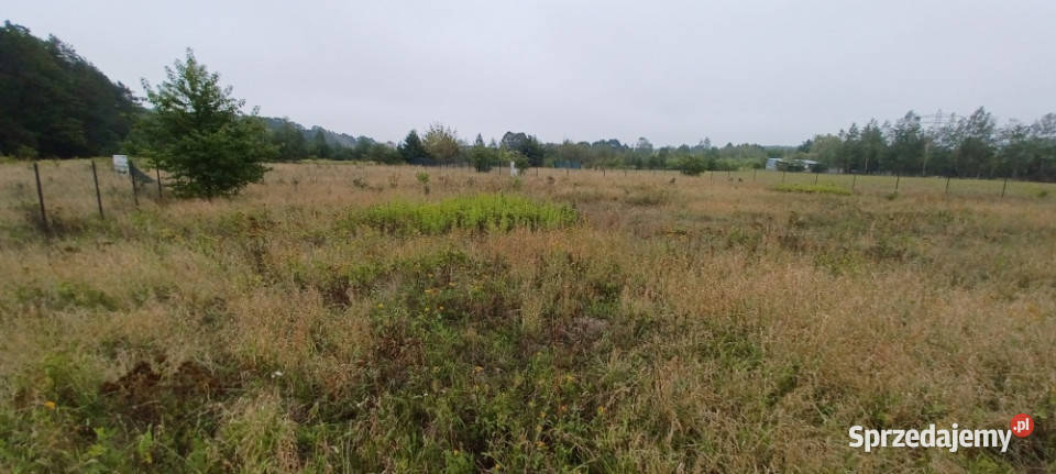 LesznowolaStefanowodziałka budowlana 1000m2 z mazowieckie