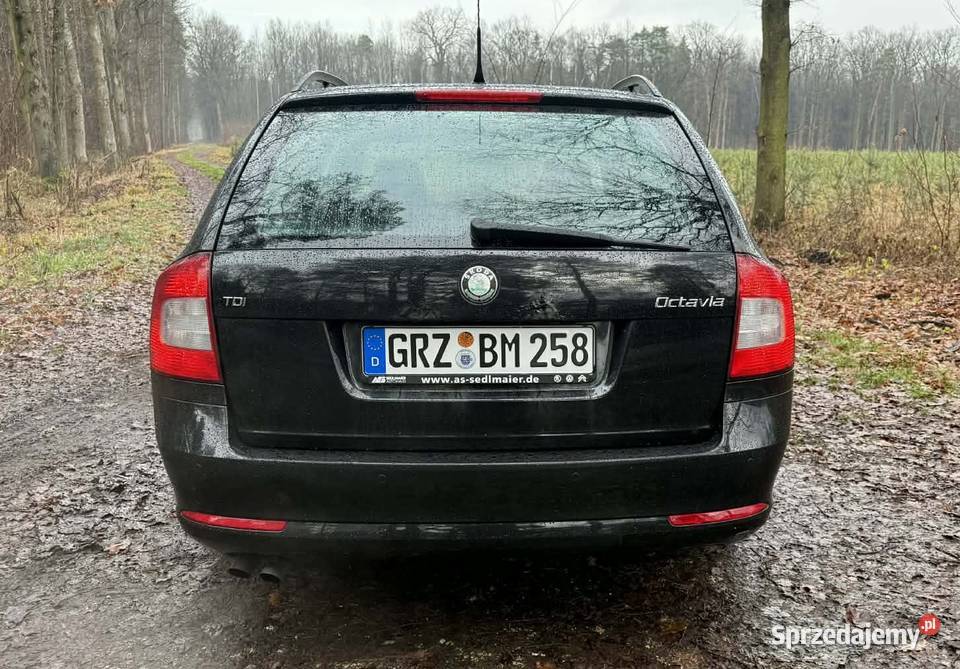Skodę Oktawie 2 19tdi opolskie Opole