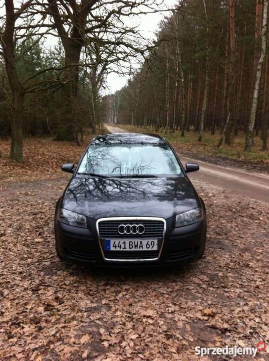 Audi A3 sporbeck szklany dach okazja