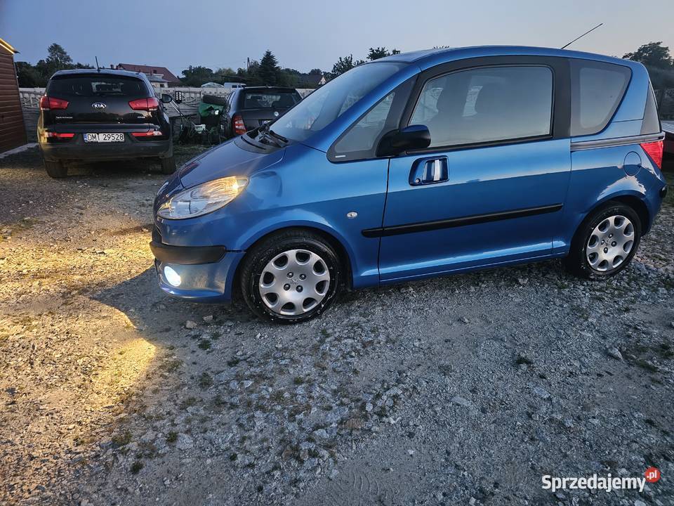 Peugeot 1007 Bukowice