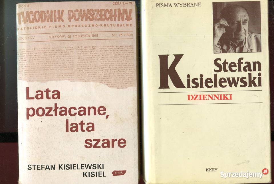Lata pozłacane lata szare Dzienniki Stefan Rok wydania 1989 Szczecin