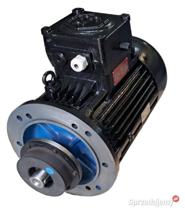 Silnik Przeciwwybuchowy Euromotori 15kW