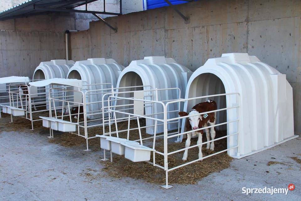 budka igloo cieląt z wygrodzeniem Rzędziany