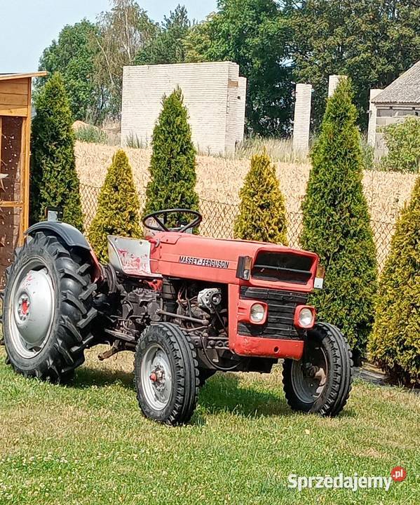 Ciągnik Massey Ferguson MF 135 lubelskie Brzeźnica Bychawska-Kolonia