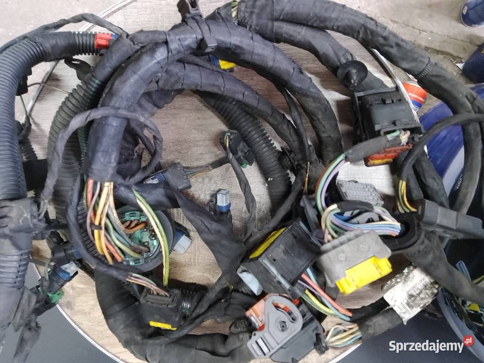Wiązka silnika Citroen C3 14 HDi 20022009r osobowe Turek