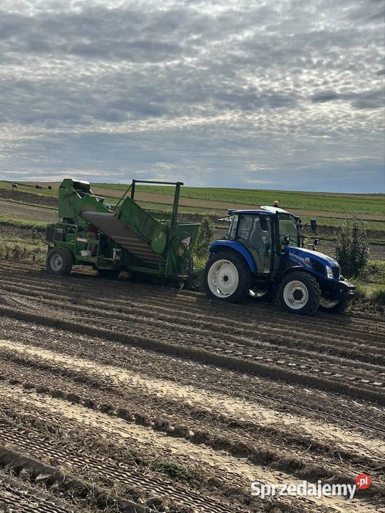 Kombajn ziemniaczany wuhlmaus 1033 Sułoszowa