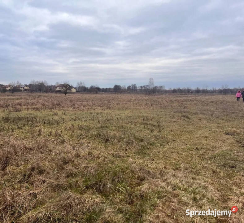 WarszawaBiałołęka Chudoby 4 działki Warszawa