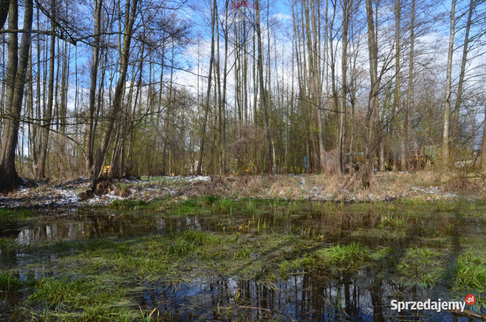 Działka pod zabudowę jednorodzinną 5057 m Mariew utwardzona