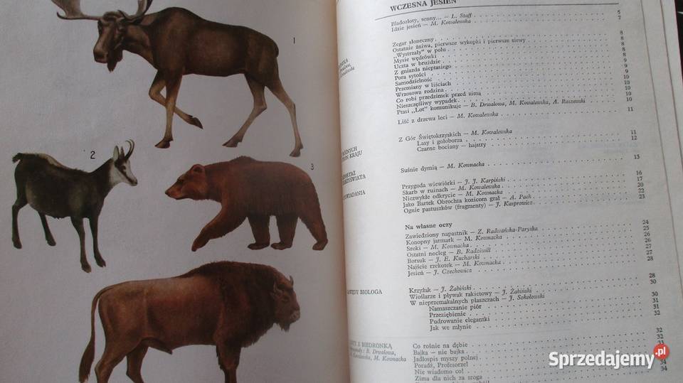 Ksiązki przyrodnicze przyroda las Bianki Łódź