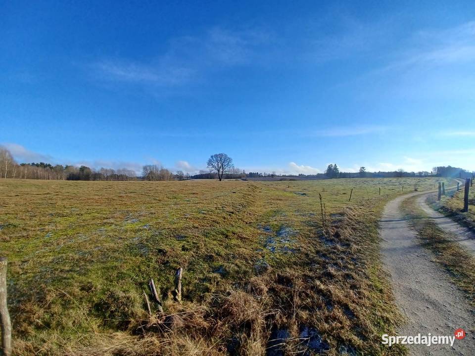 Działka budowlana Kołtki