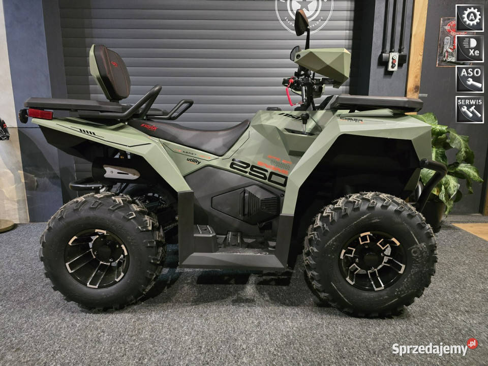 ASIX Inny ASIX CYBER 250 rrHIT na rynku HIT 250cm3 Stare Miasto