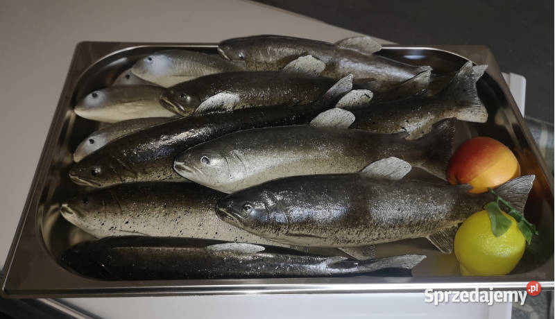 Sztuczne ryby do dekoracji Biznes i Przemysł sprzedam