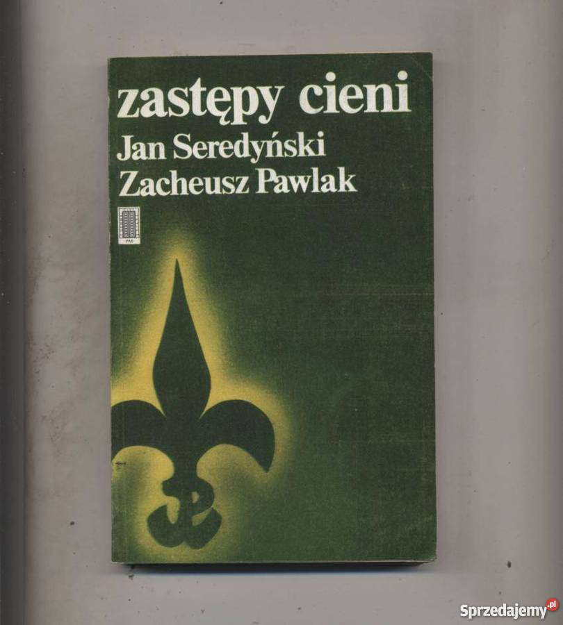 Zastępy cieni Opowieść o walce harcerzy ziemi Szczecin sprzedam