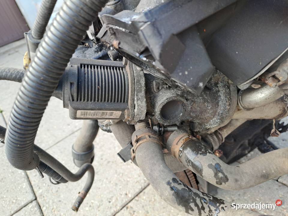 Opel Corsa D 13 CDTi silnik kod A13DTC Z13DTJ Jastrzębie-Zdrój
