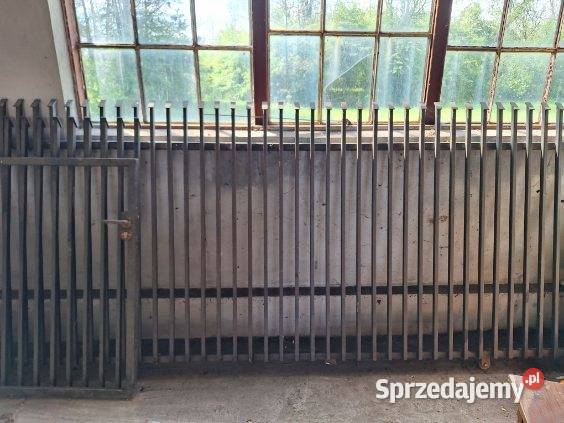 Brama z furtką Rybno