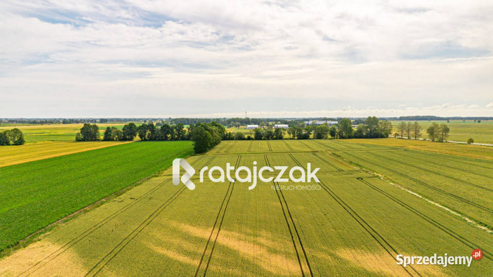 Grunt 1431m2 Wocławy Stanisława Lema