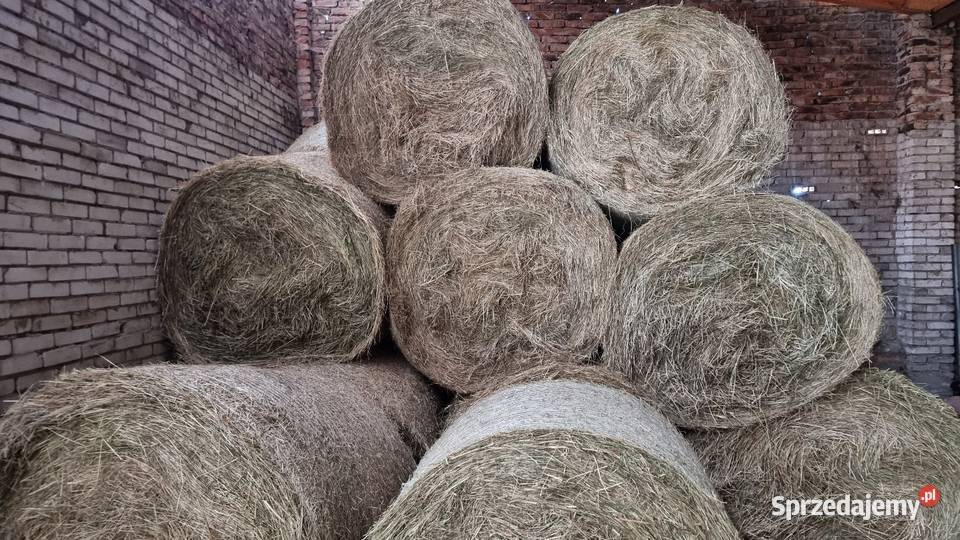 Siano rolka 120x120 Pradła