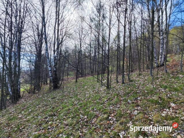 Sprzedaż działki Piechowice 1349m2 budowlana Sprzedaż