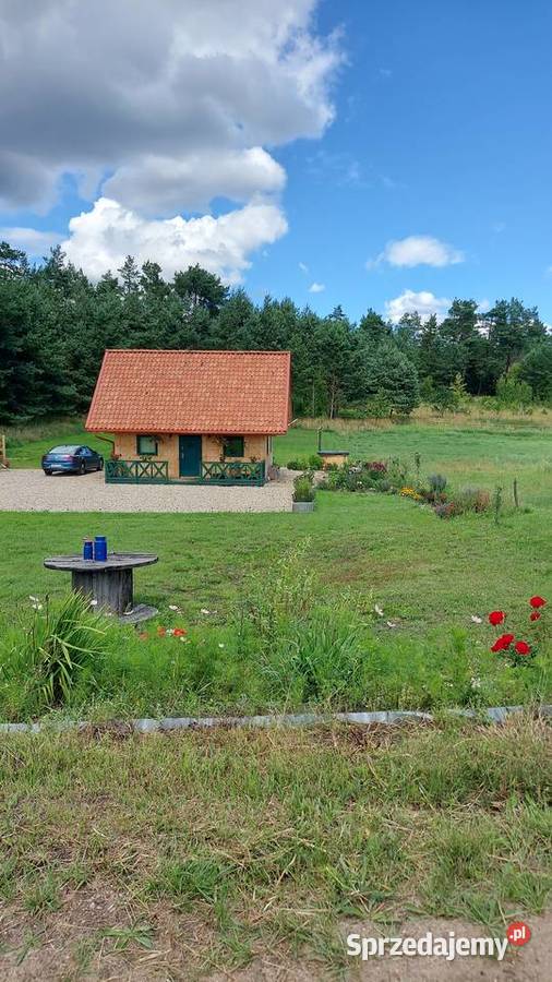 Budowa domów drewnianych w starym stylu z bali z Skarszewy