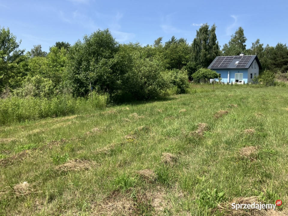 Urokliwa działka Żółwin Południowa