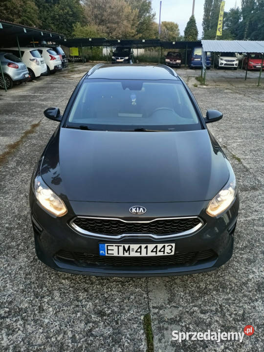 Kia Ceed Salon Polska gwarancja pierwszy nieuszkodzony Kia Tomaszów Mazowiecki