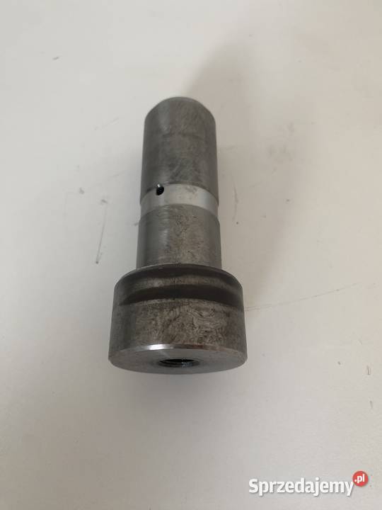 TRZPIEŃ SWORZEŃ 5195243 HOLLAND CASE Kielce sprzedam