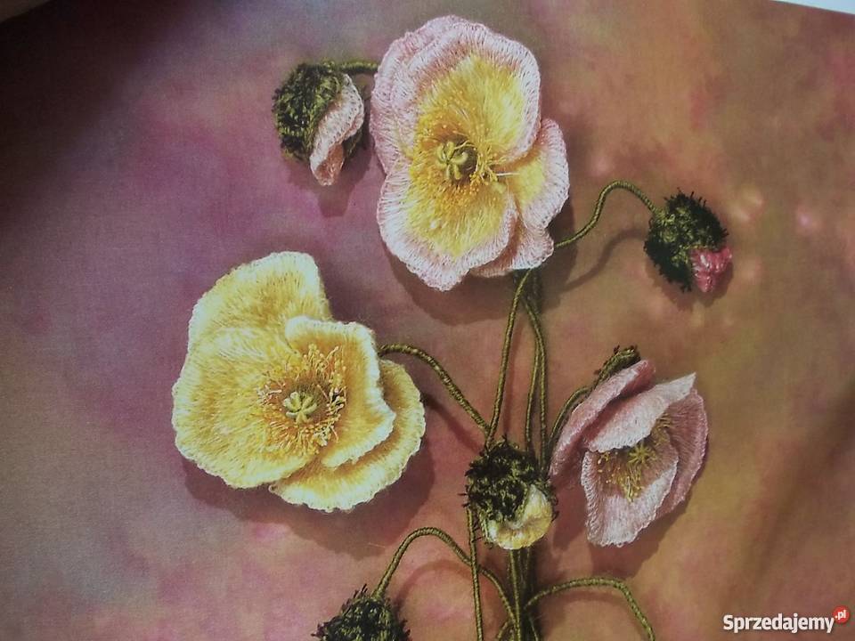 Haft przestrzenny Książki i Podręczniki Sandomierz