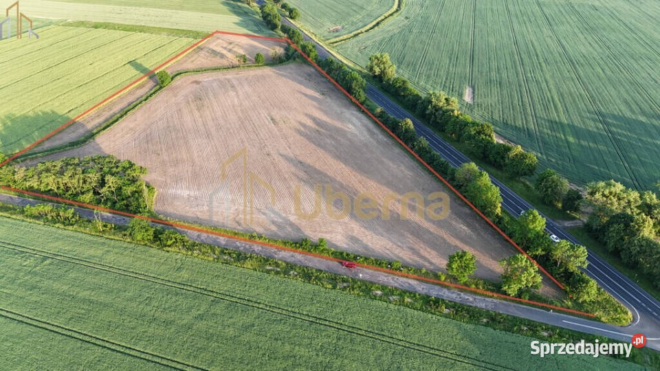 Teren inwestycyjny z potencjałem produkcjaskłady asfalt Ryszewko sprzedam