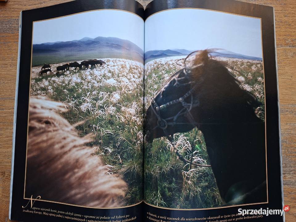 Nationa Geographic 2002 2003 6 numerów Kraków