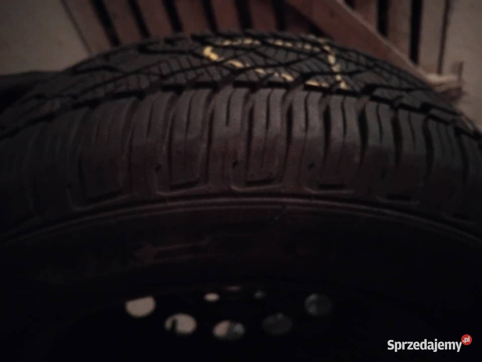 Opony wielosezonowe Braun zakupione w Oponeo