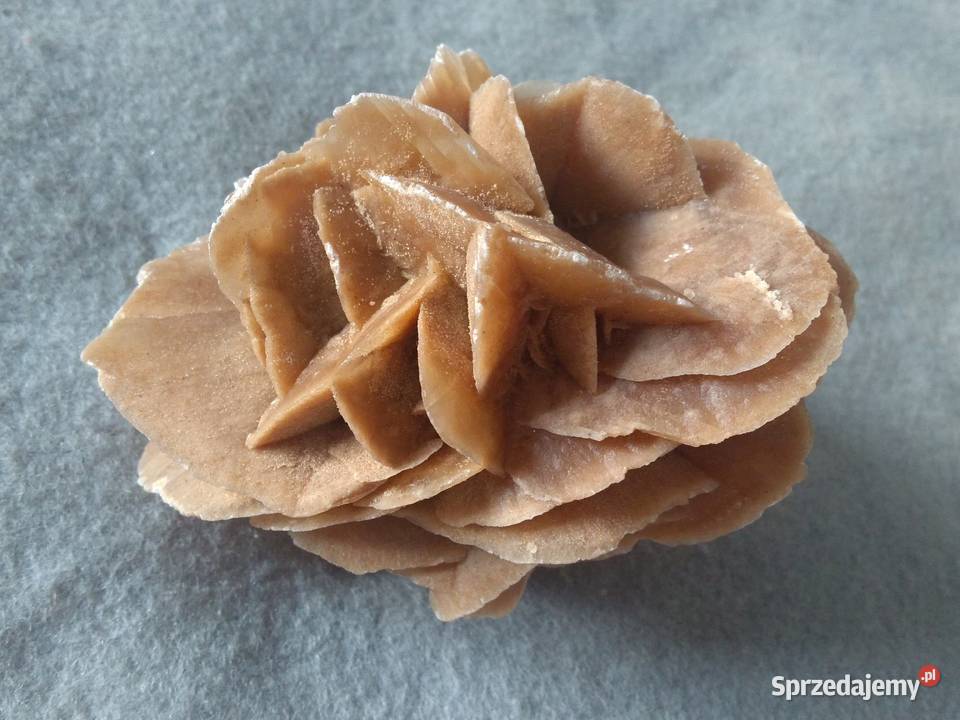 Róża Pustyni kamień ozdobny z Sahary 12 07 Warszawa