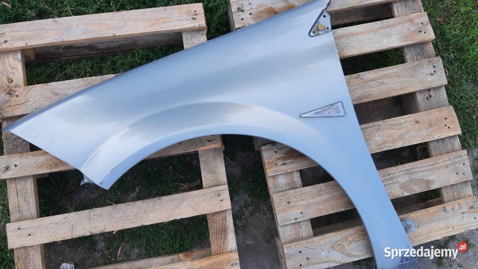 lak TEA19 błotnik lewy przedni Renault Megane II