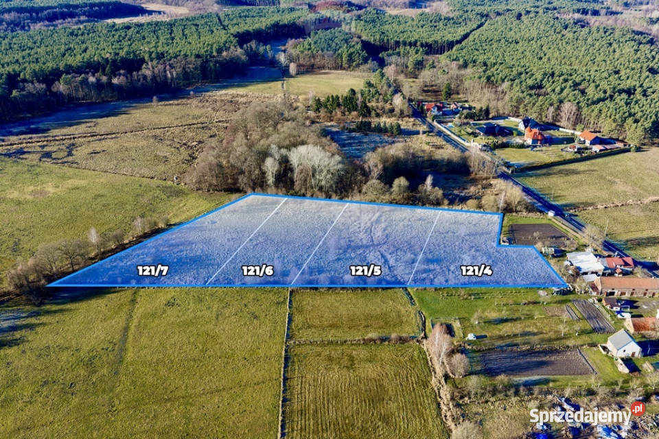 Na sprzedaż 4 działki rolne łącznie 18479 m Chełm Żarski