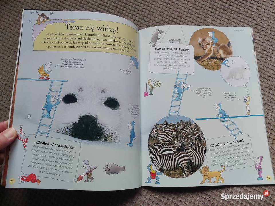 National Geographic Małe Mózgofalki poznają ISBN 9788375961348