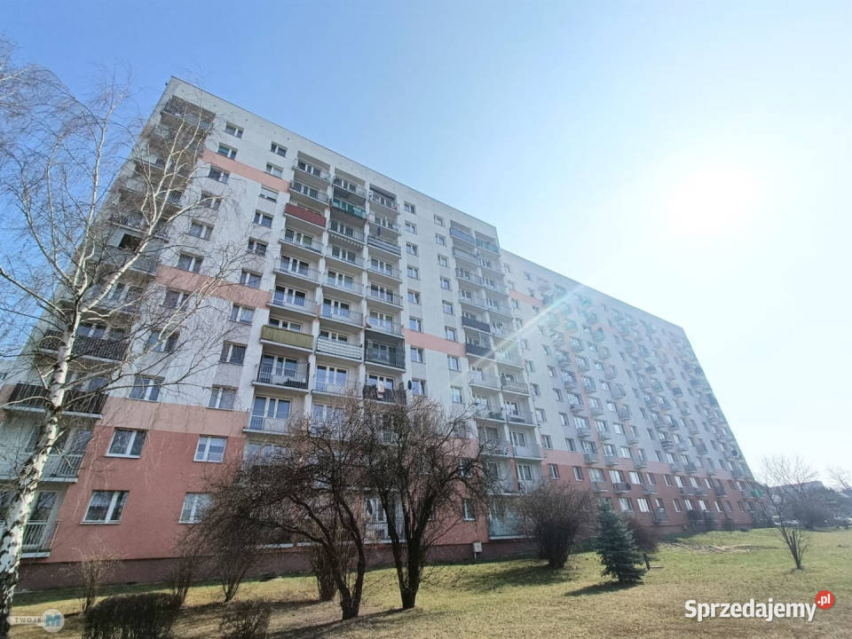 Mieszkanie 291m2 1pok Kielce 29.1m2