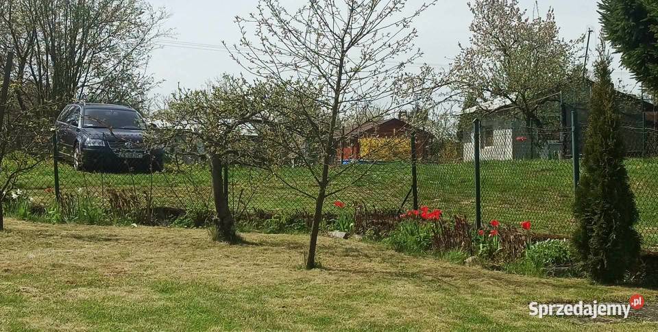 Działka ROD NEPTUN Szosa Polska rekreacyjna Szczecin