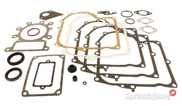 Zestaw uszczelek 495993 Kamionna