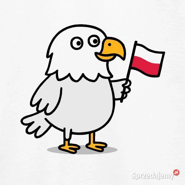 Ekologiczna dziecięca koszulka patriotyczna Bluzki, koszulki i kaftaniki Kraków sprzedam