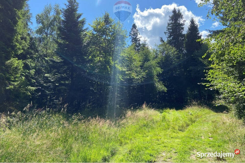 Działka na szczycie Magurki Wilkowickiej Wilkowice