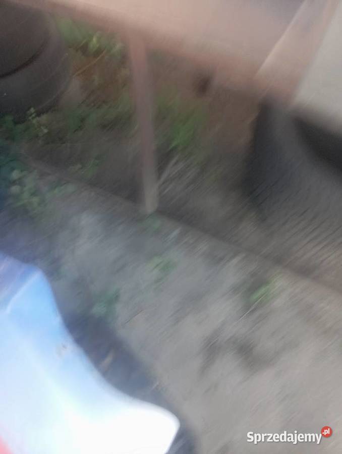 Krajzega Płońsk