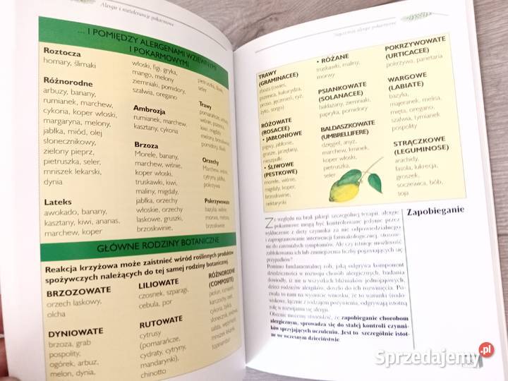 Alergie i nietolerancje pokarmowe Poradniki, albumy i reportaże dolnośląskie Wrocław