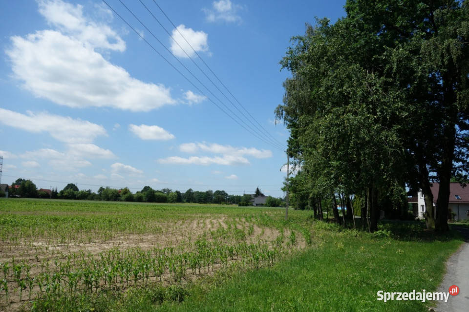 Skoczów Ochaby 157ha z częścią budowlaną 55ar i
