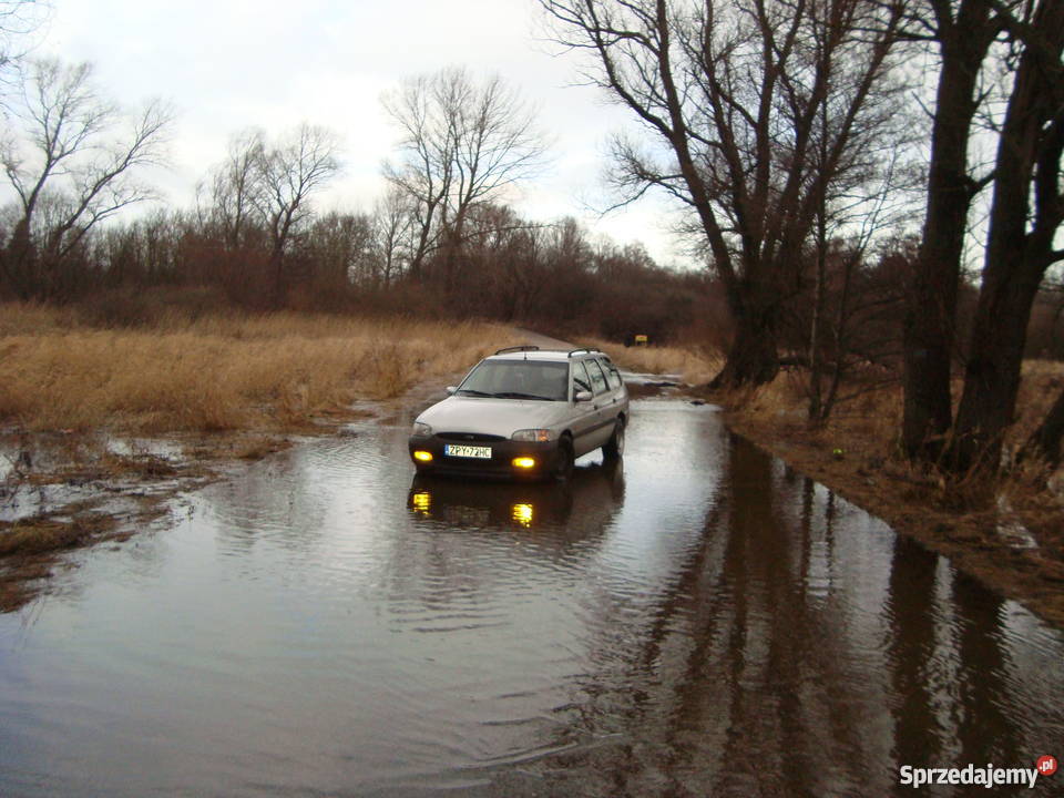 Ford escort 16 16v 98 r 200000km Koszalin
